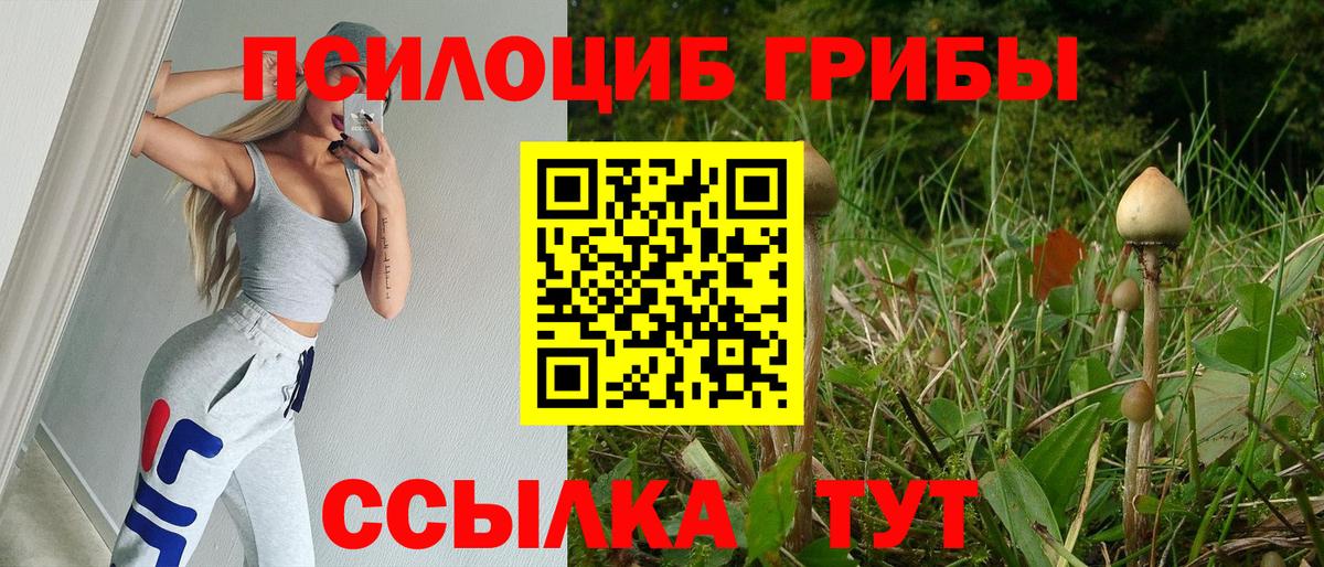 Ейск  Псилоцибиновые грибы Magic Shrooms  Вход с VPN 